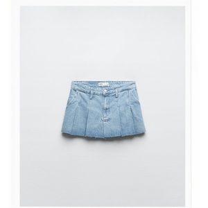 Zara The Ultra Mini Pleated Skirt